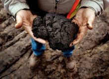 نیاز شدید صنایع نفتی کانادا به نیروی کار جدید