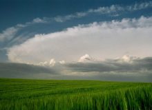 صدور 595 دعوتنامه در جدیدترین انتخاب استانی ساسکاچوان