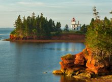 انتخاب 15 دسامبر جزیره پرنس ادوارد