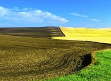 انتخاب 16 فوریه 2023 ساسکاچوان