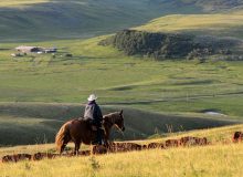 انتخاب 18 می 2023 ساسکاچوان