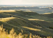 انتخاب 3 می 2023 ساسکاچوان