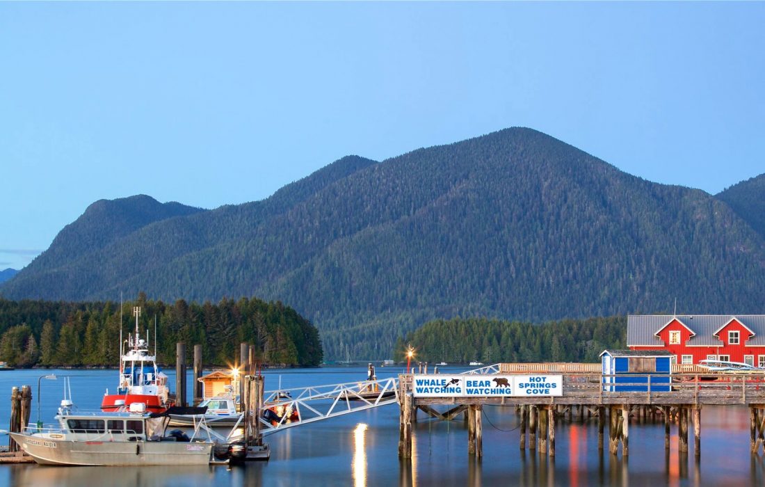 انتخاب استانی 18 جولای 2023 بریتیش کلمبیا