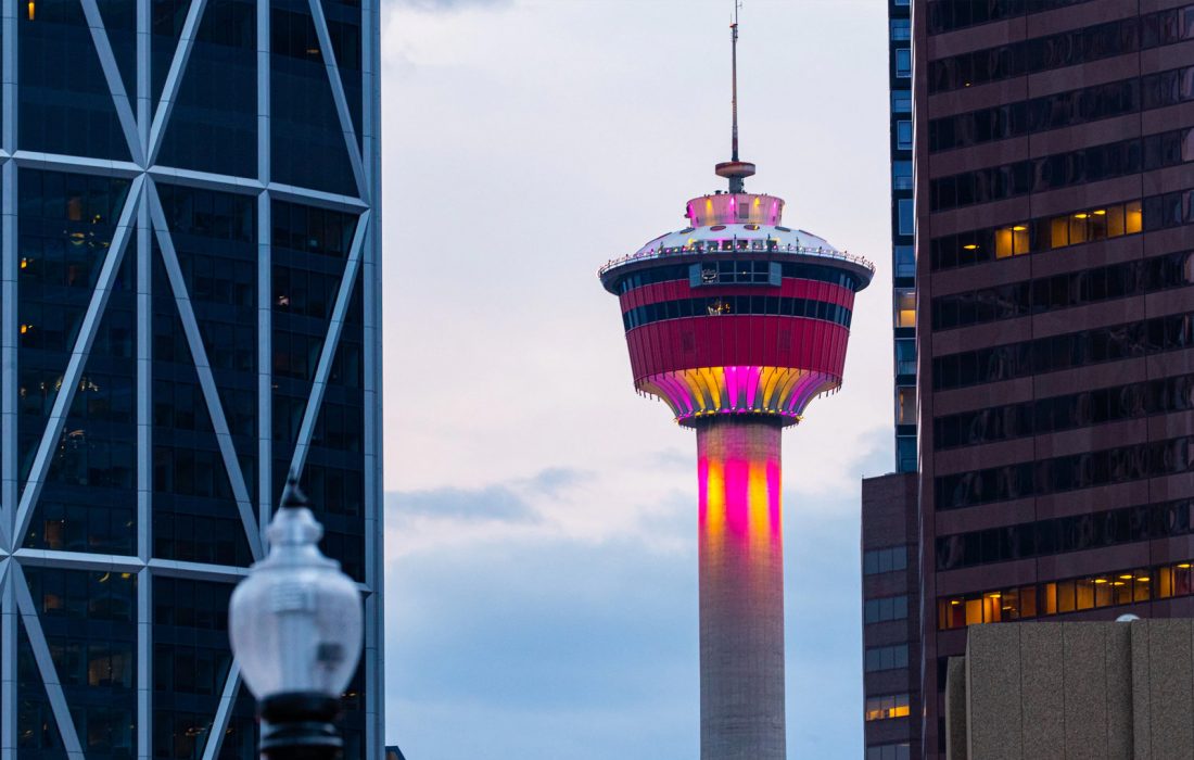 انتخاب‌ 22-15 آگوست 2023 آلبرتا