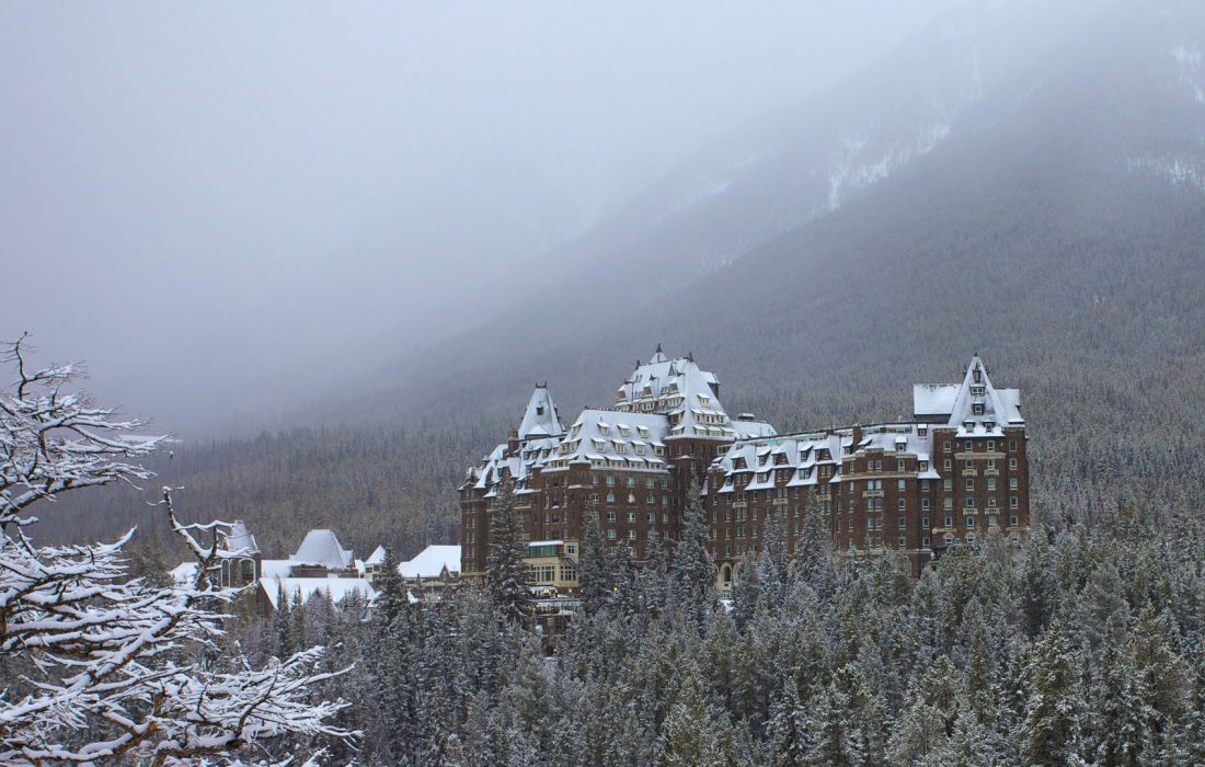 انتخاب‌ 29 آگوست 2023 آلبرتا