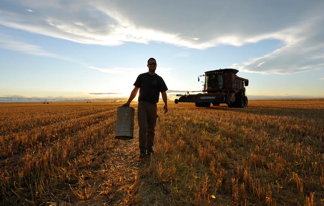 انتخاب  21 دسامبر 2023 اکسپرس انتری