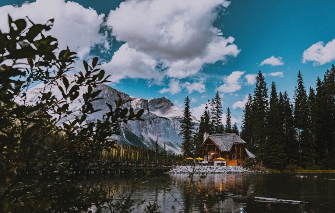 انتخاب استانی 23 ژانویه 2024، بریتیش کلمبیا