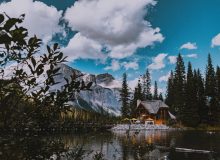 انتخاب استانی 23 ژانویه 2024، بریتیش کلمبیا