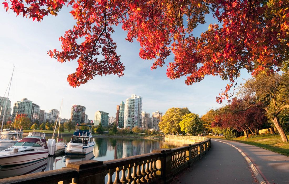 انتخاب استانی 10 ژانویه 2024 بریتیش کلمبیا