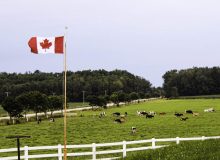 انتخاب  16 فوریه 2024 اکسپرس انتری