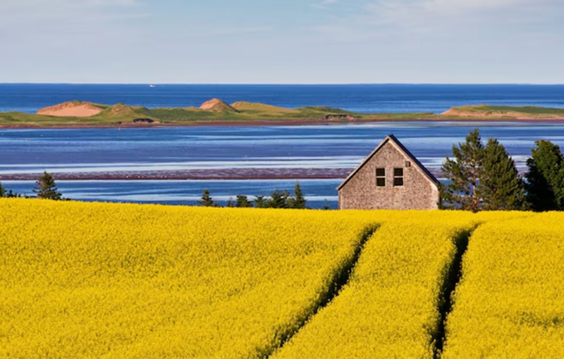 انتخاب 18 آپریل 2024 جزیره پرنس ادوارد