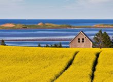 انتخاب 18 آپریل 2024 جزیره پرنس ادوارد