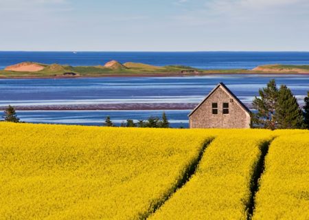 انتخاب 18 آپریل 2024 جزیره پرنس ادوارد