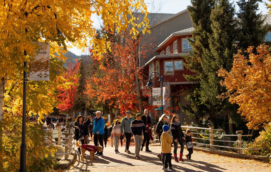 انتخاب استانی 9 اپریل 2024 بریتیش کلمبیا