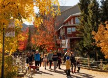 انتخاب استانی 9 اپریل 2024 بریتیش کلمبیا